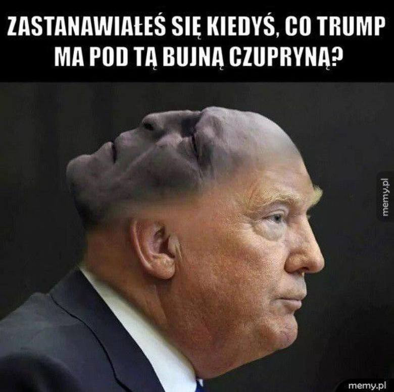 Wybory prezydenckie w Stanach Zjednoczonych - Donald Trump czy Joe Biden? Memy