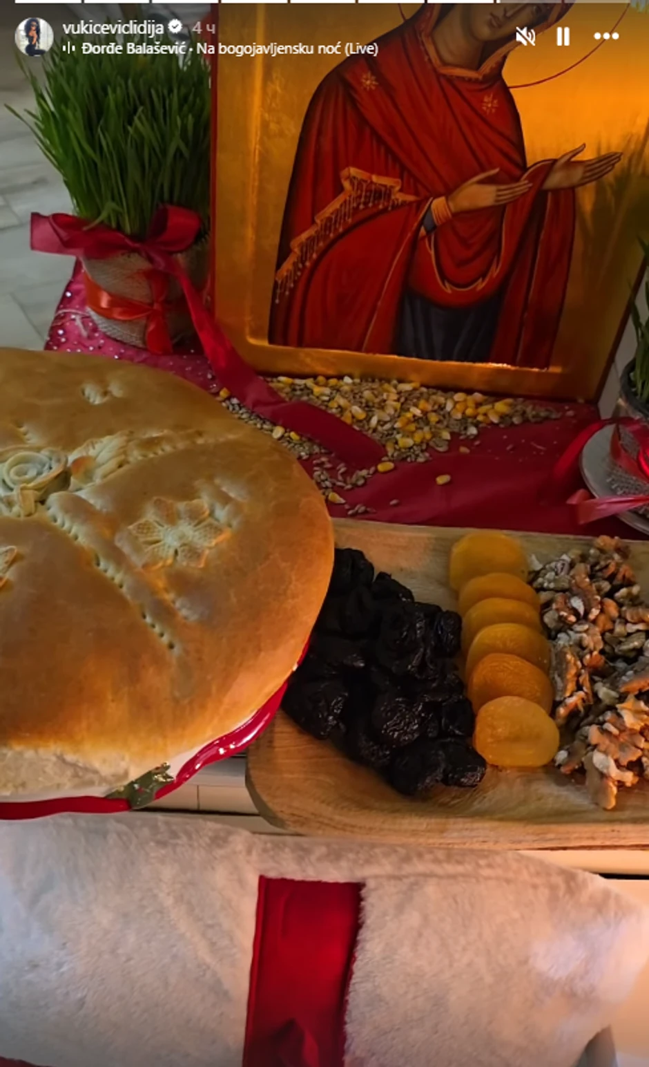 Lidija Vukićević stan