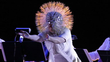 Pohoda Festival z Björk, Einstürzende Neubauten i Die Antwoord