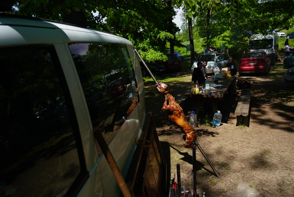 Mnogi patogeni, poput ešerihije koli ili salmonele, ne menjaju ukus ni miris namirnica