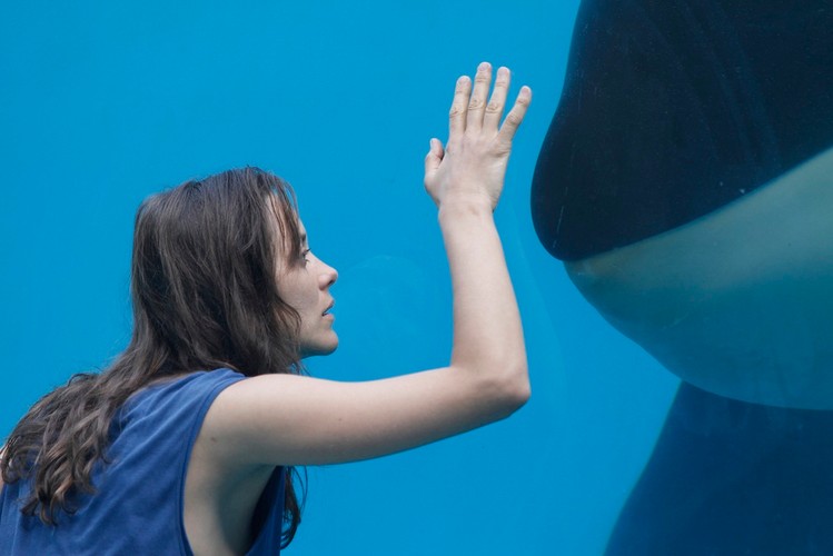 Marion Cotillard w filmie 'Rust and Bone'