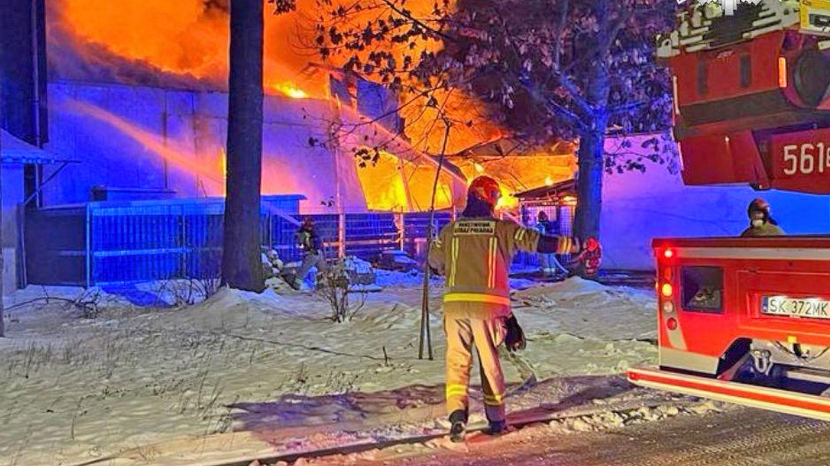 Wielki pożar w Raciborzu. Spłonęły hale z drewnem i lakierami. To było podpalenie?