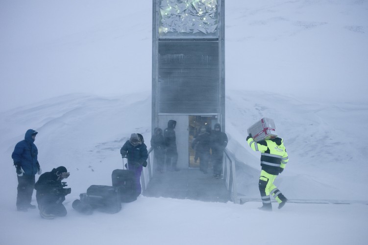 Globalny Bank Nasion, Svalbard, Norwegia, październik 2013, Autor: Matthias Heyde, licencja CC BY-ND 4.0, źródło: https://www.flickr.com/photos/landbruks-_og_matdepartementet/sets/72157623004641656
