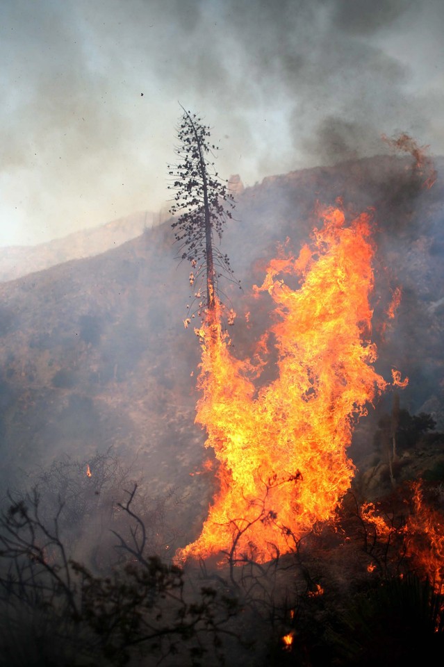 USA CALIFORNIA WILDFIRES