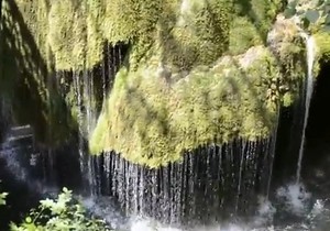 450782_bigar-foto-youtube