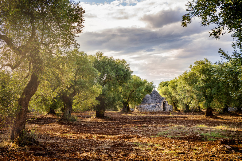 Apulia, Włochy, park