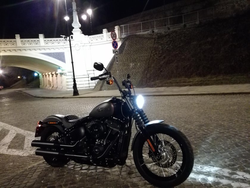 HD Street Bob