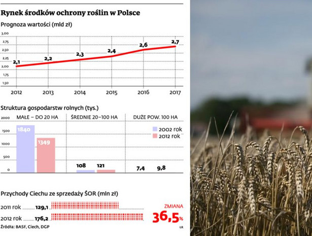 Rynek środków ochrony roślin w Polsce