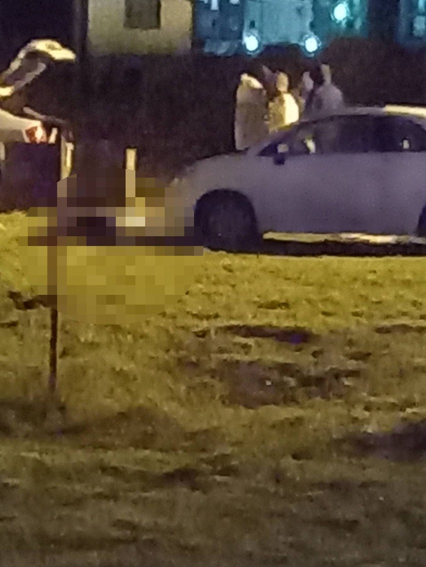 Novi Sad ubistvo Veternik