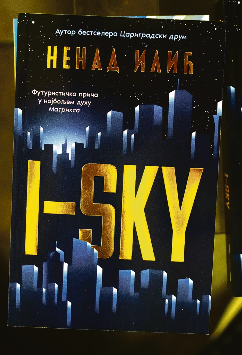 Nenad Ilić, promocija knjige