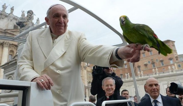 429098_papa-i-papagaj-ap