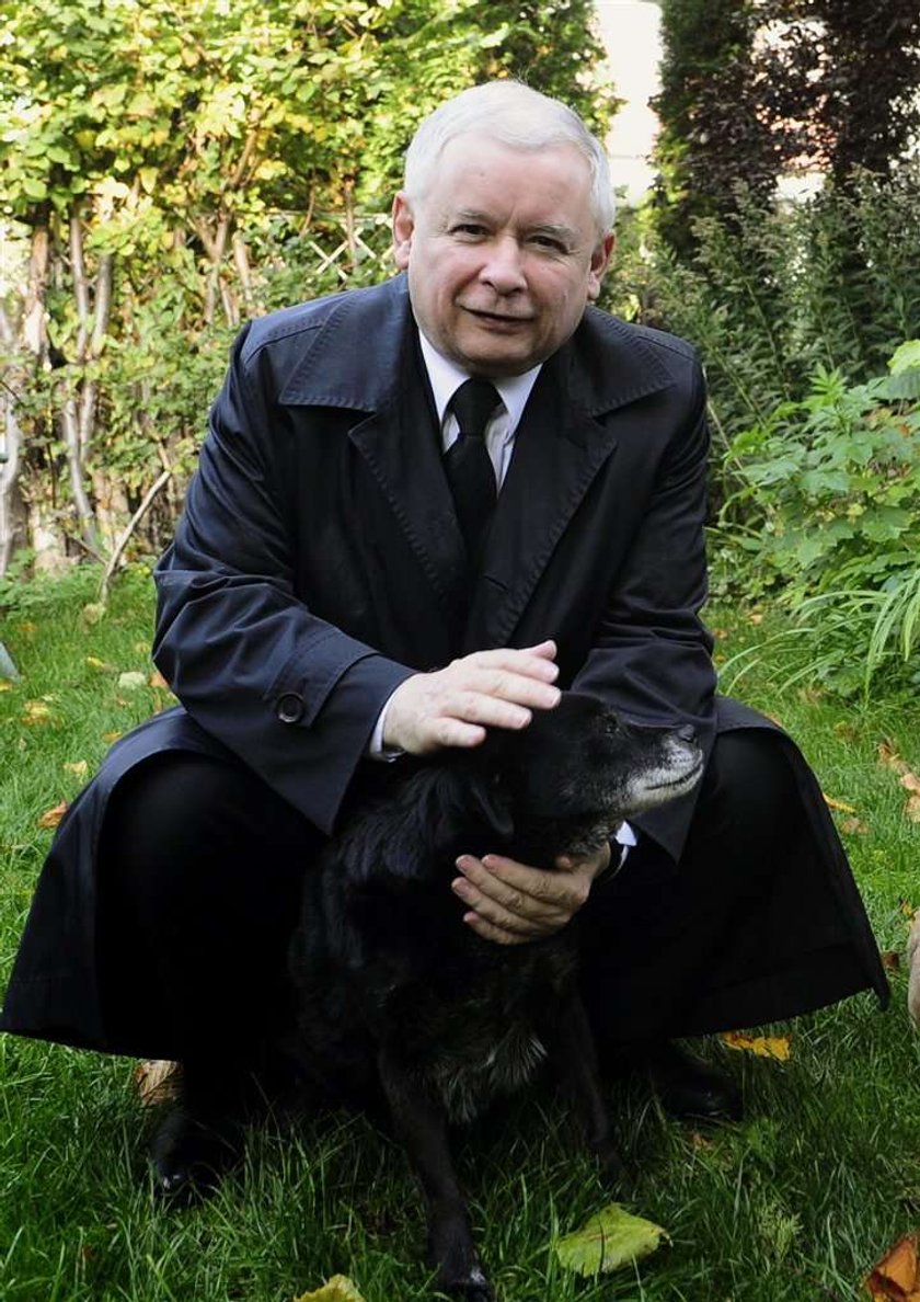 Kaczyński bawi się z kotem. Tęskni za Alikiem? FOTY