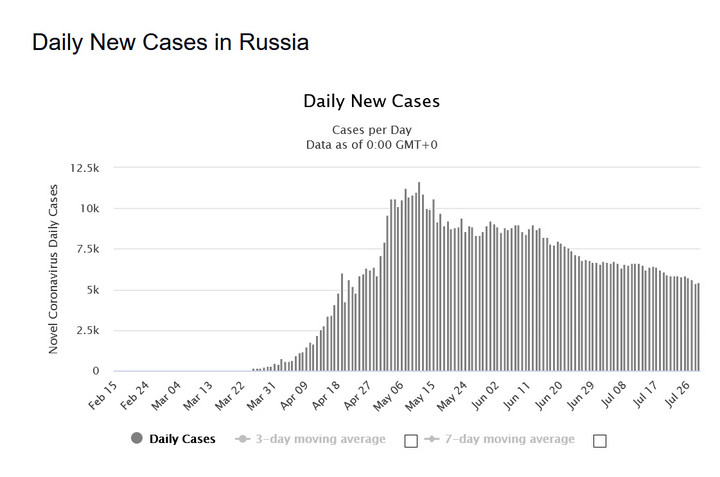 Koronawirus: Rosja. Liczba dziennych zakażeń (stan na 29 lipca)