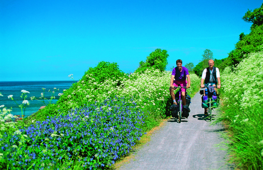 Bornholm to raj dla rowerzystów. Większość tras rowerowych nie ma styczności z ruchem samochodowym, a rower można wypożyczyć niemal wszędzie i w przystępnej cenie.