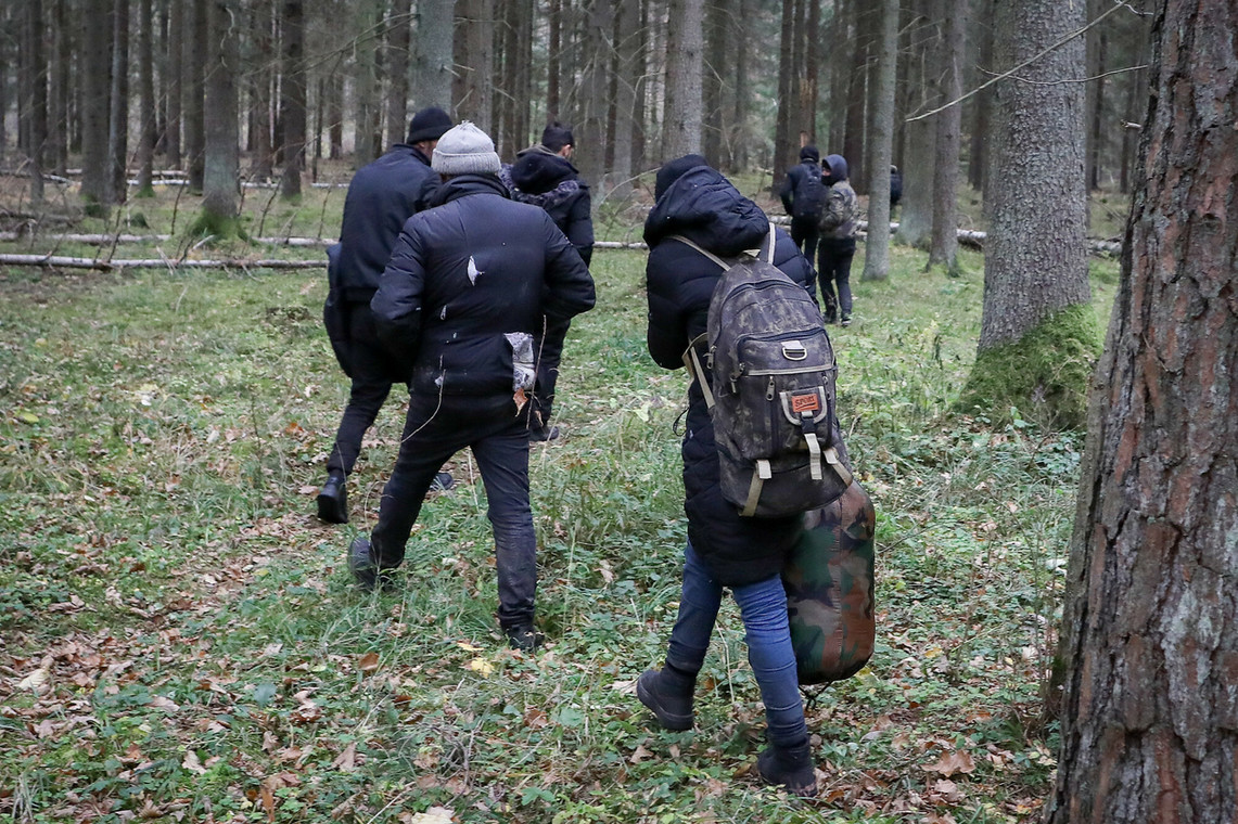  Puszcza Białowieska. Grupa imigrantów w lesie koło Hajnówki