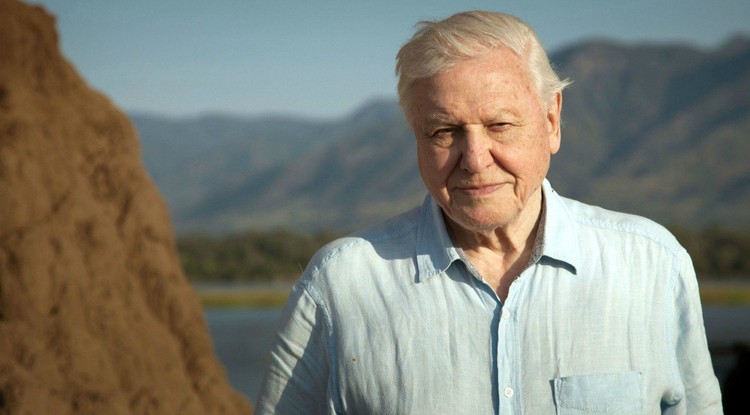 David Attenborough