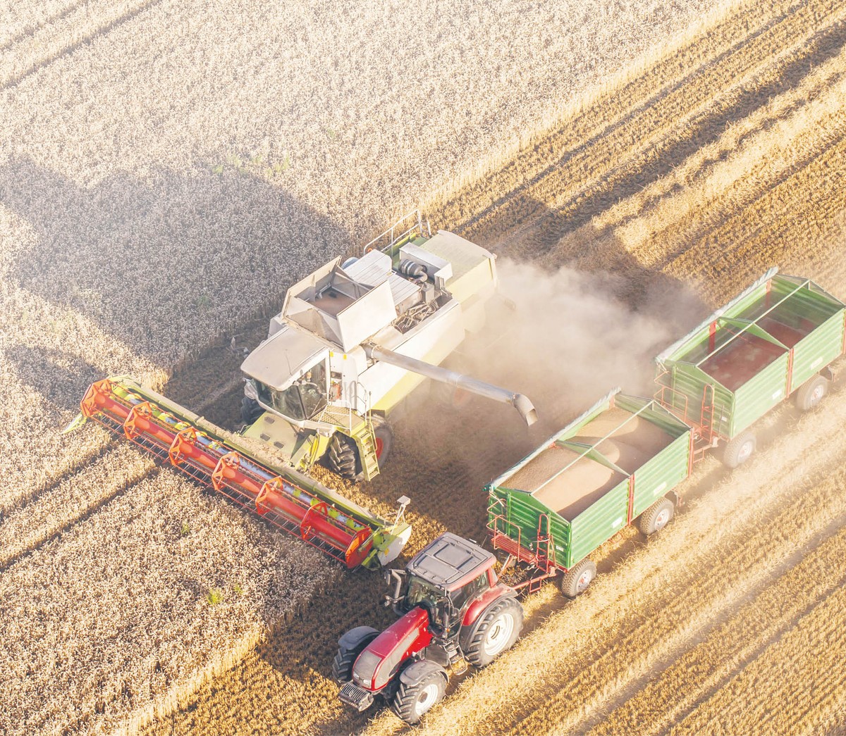 Może biogazownie brzydko pachną, ale są potrzebne, więc sąsiedzi muszą być wyrozumiali
