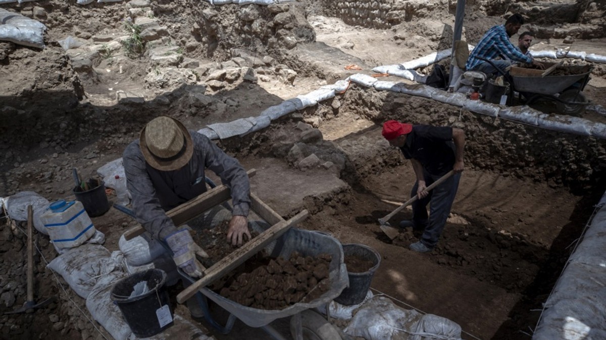 Arheolozi (ilustracija)