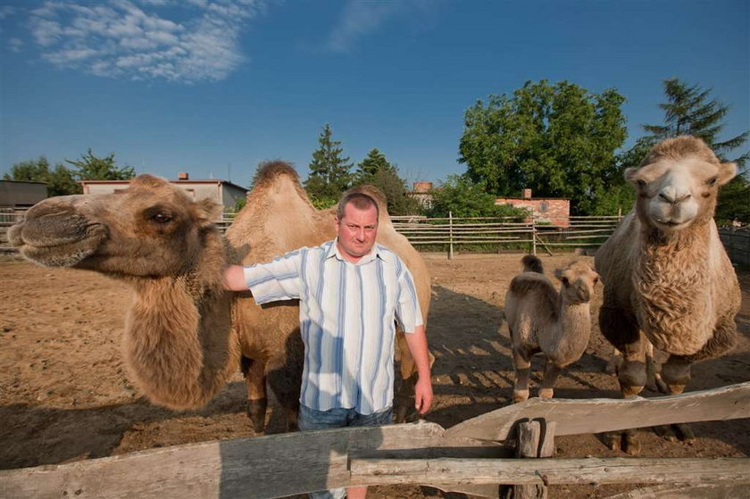 Szejk ze Wschowy! Po podwórku biegają mu...