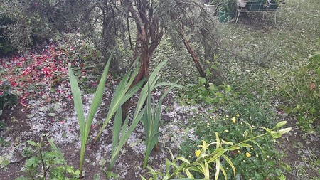 Grad je uništio veliki deo useva u centralnom delu srbije