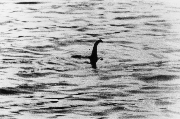 Fotografie údajnej Lochnesskej príšery.