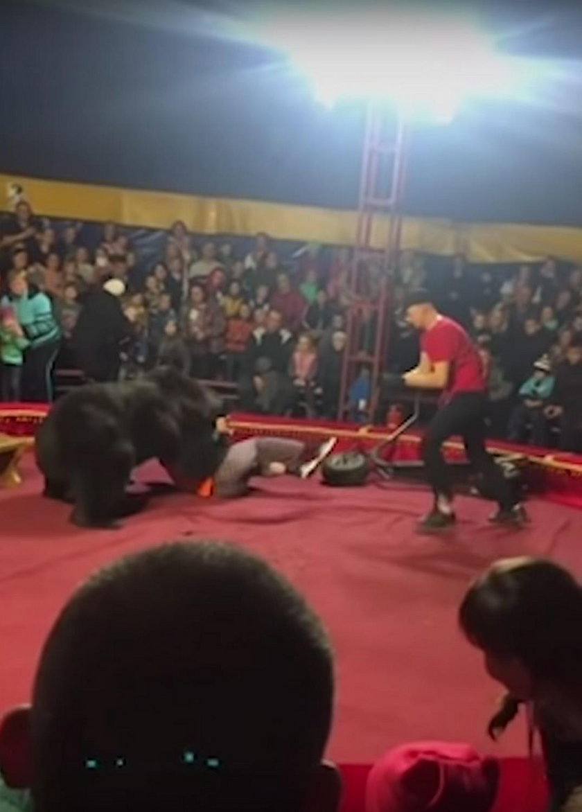 Rosja: niedźwiedź zaatakował trenera podczas występu w cyrku
