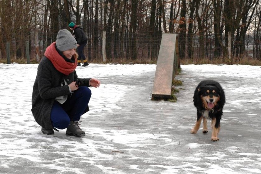 Akcja walentynkowa w schroniskach dla zwierząt