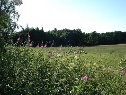 Warmia przyciąga nieskazitelną naturą