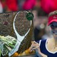 TENIS WTA BNP PARIBAS KATOWICE OPEN