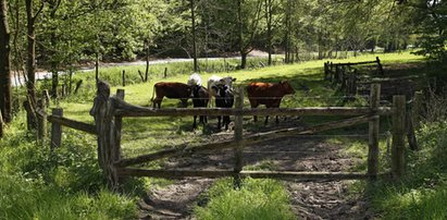 Czy widzisz tu kobietę? Wyjątkowy projekt artysty