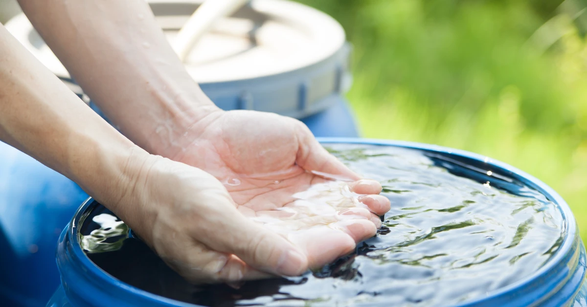 Nawet 4000 zł na deszczówkę. Dotacje wracają z rekordowym budżetem