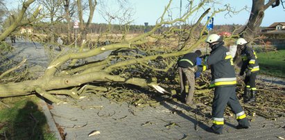 Duże zniszczenia po wichurach na Podhalu