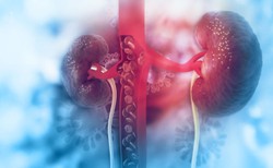 Rozkodowano geny rzadkiego RAKA NERKI. Powinny działać na niego istniejące leki