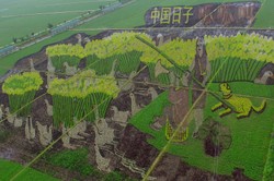 Sztuka 3D na chińskich polach ryżowych. Zobacz niezwykłe zdjęcia