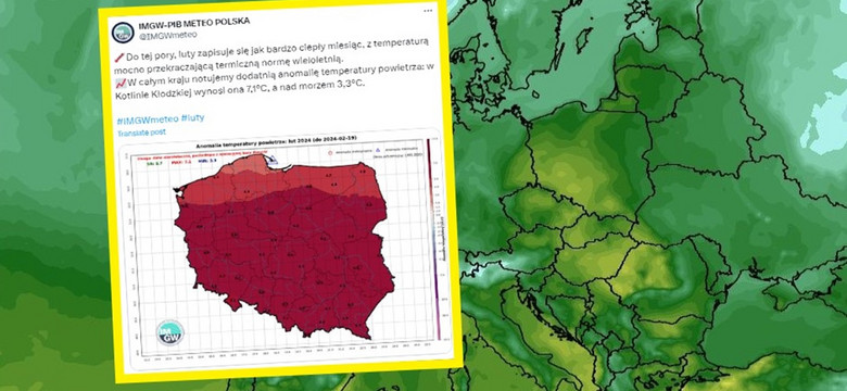 Słupki na termometrach w górę. "Przyroda może sobie nie poradzić"