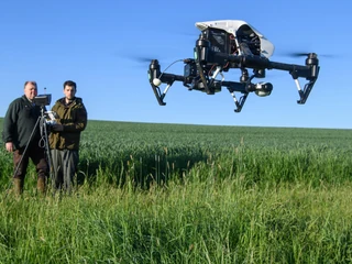 Fawn rescue with a drone