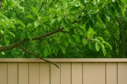 utrzymanie terenów zieleni miejskiej. czy jest z vat?