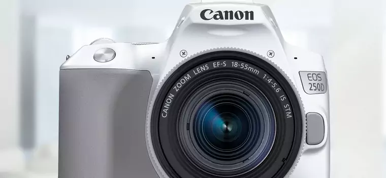 Canon EOS 250D - dobry, poręczny i niedrogi! Test