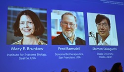 Nobel z medycyny przyznany. Laureatami trzej naukowcy z USA i Japonii