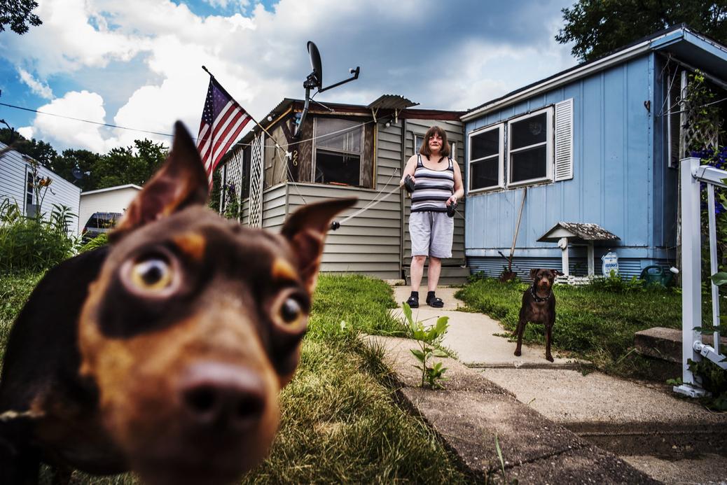 Holly i Buddy to para psich mieszkańców Landfall, maleńkiego miasteczka z domami mobilnymi w Minnesocie