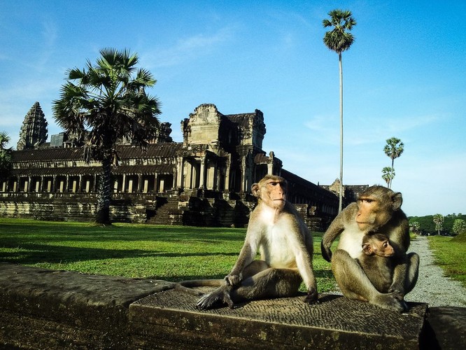 Angkor Wat, Kambodża; fot. T. Bogusz / Pirania na kolację