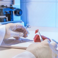 A Nébih górcső alá veszi az ünnepi ételeket is