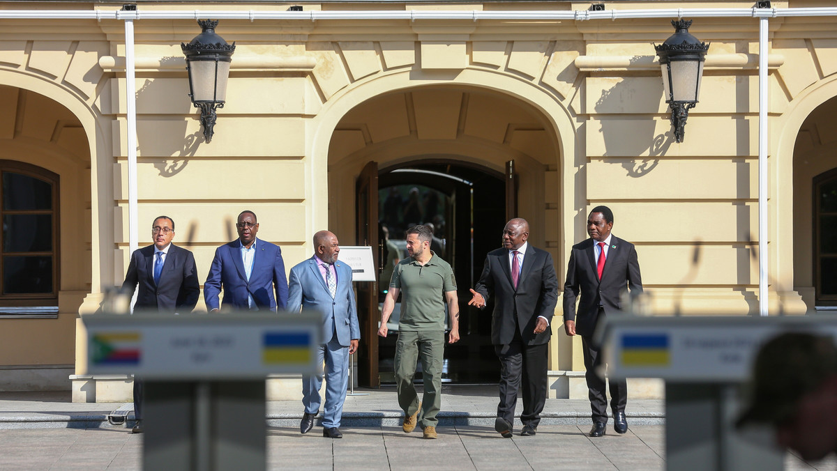 The true purpose of the African mission in Kiev has come to light [RELACJA NA ŻYWO]