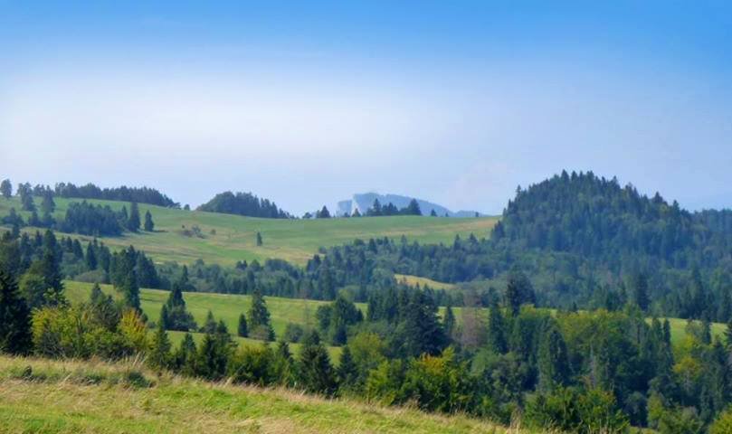 Małe Pieniny - widoki ze szlaku na Durbaszkę