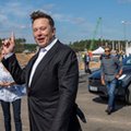 Tesla pokazała świetne wyniki finansowe