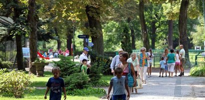 Prezydent każe nam płacić za park na Jeżycach