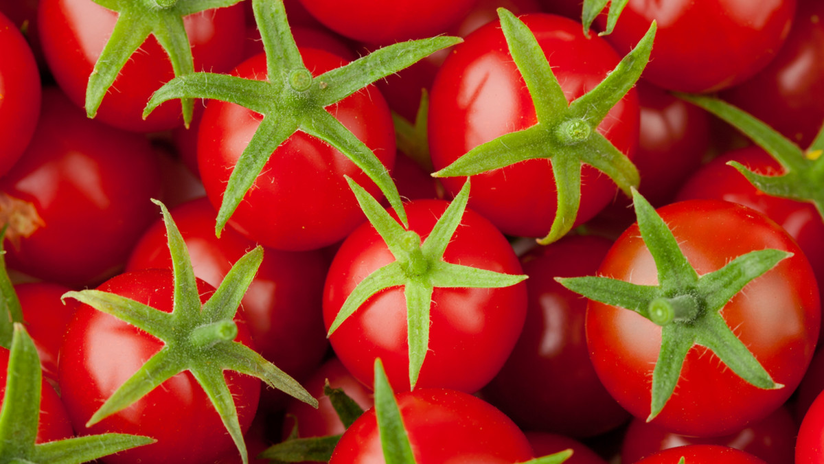 Pora pokochać pomidory. Likopen - naturalny pigment, dzięki któremu pomidor jest czerwony, pomaga skórze wyglądać młodo i chroni ją przed skutkami nadmiernego wystawienia na słońce - twierdzi prof. Mark Birch-Machin, dermatolog z uniwersytetu w Newcastle.