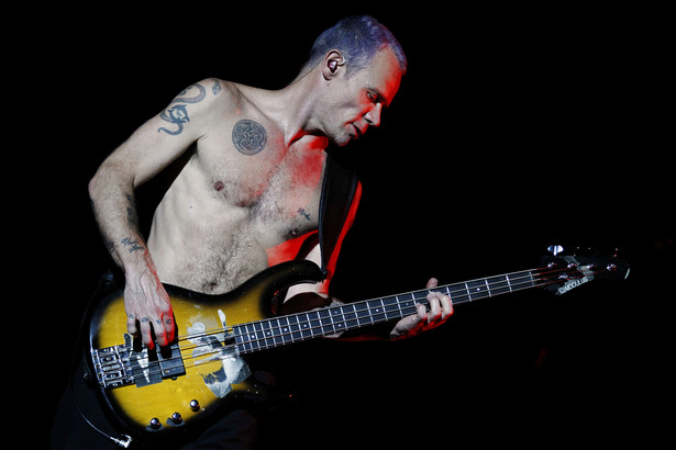 Flea ma nowe hobby. Muzyk Red Hot Chili Peppers został... pszczelarzem