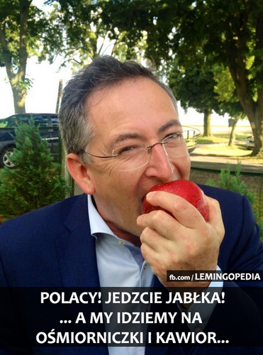 mem z Bartłomiejem Sienkiewiczem / Lemingopedia