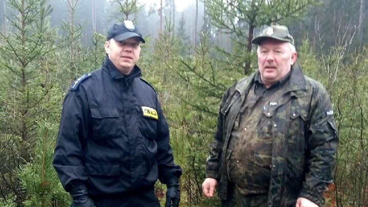 Policjanci i strażnicy leśni patrolują lasy i kontrolują targowiska. To działania zmierzające do ukrócenia procederu kradzieży choinek. Złodzieje muszą się liczyć z z mandatami.